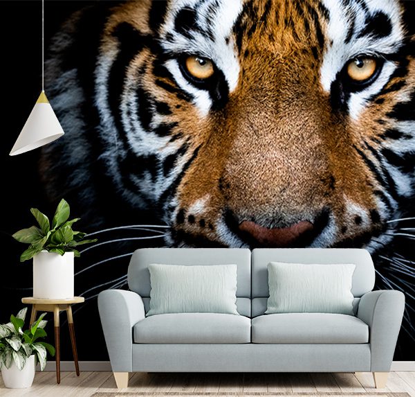 Mesmerizing Tiger Face