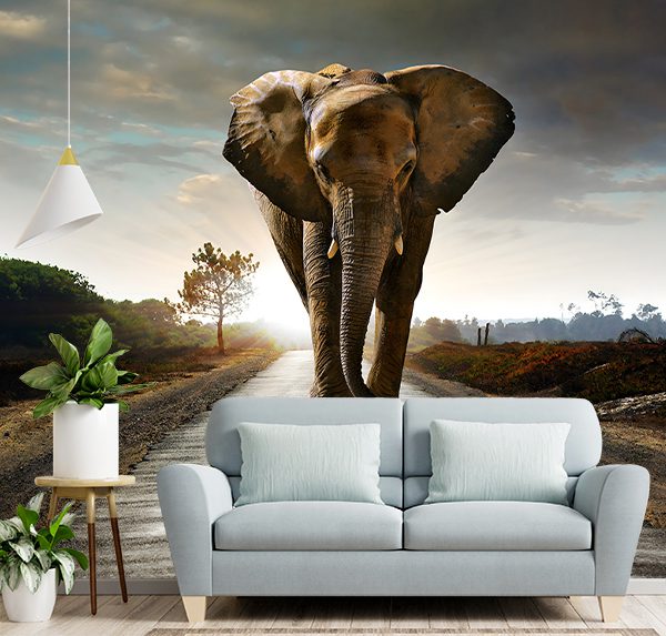 Lone Elephant at Sunset
