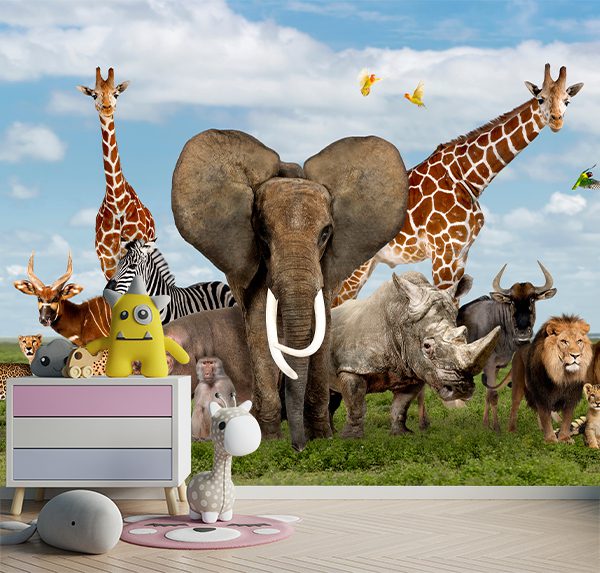 Safari Adventure