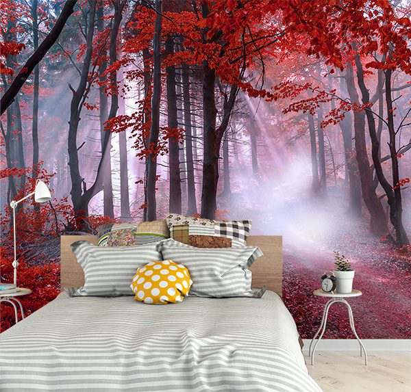 Autumn Misty Forest Path
