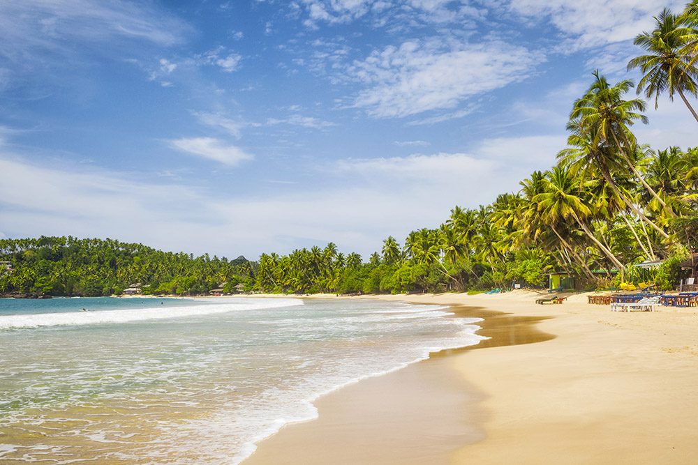 Warm Coastal View