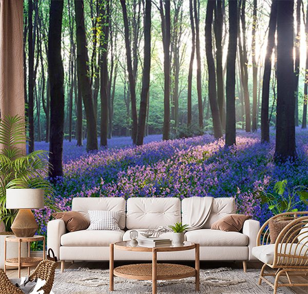 Morning Bluebell Woodland