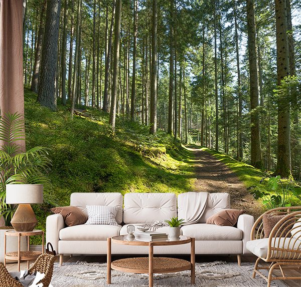 Tranquil Forest Path