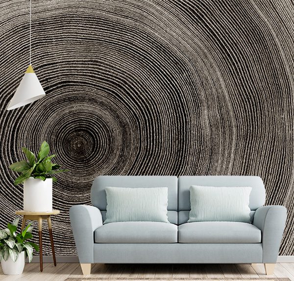 Tree Annual Rings