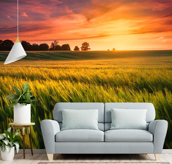 Fields of Gold