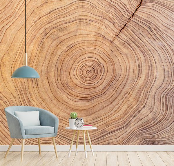 Tree Trunk Rings Art