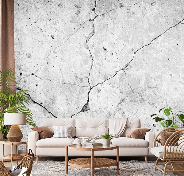Cracked Concrete Wall
